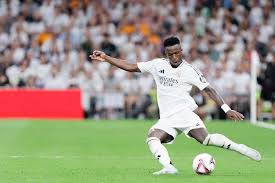 国际游客的 国际游客的